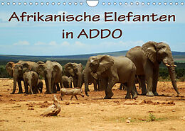 Kalender Afrikanische Elefanten in ADDO (Wandkalender 2022 DIN A4 quer) von Anke van Wyk