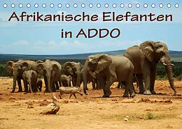 Kalender Afrikanische Elefanten in ADDO (Tischkalender 2022 DIN A5 quer) von Anke van Wyk