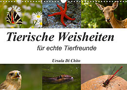 Kalender Tierische Weisheiten (Wandkalender 2022 DIN A3 quer) von Ursula Di Chito