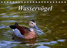 Kalender Wasservögel (Tischkalender 2022 DIN A5 quer) von Ursula Di Chito