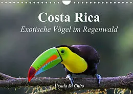 Kalender Costa Rica - Exotische Vögel im Regenwald (Wandkalender 2022 DIN A4 quer) von Ursula Di Chito