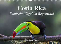 Kalender Costa Rica - Exotische Vögel im Regenwald (Wandkalender 2022 DIN A3 quer) von Ursula Di Chito