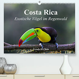 Kalender Costa Rica - Exotische Vögel im Regenwald (Premium, hochwertiger DIN A2 Wandkalender 2022, Kunstdruck in Hochglanz) von Ursula Di Chito