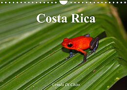 Kalender Costa Rica (Wandkalender 2022 DIN A4 quer) von Ursula Di Chito