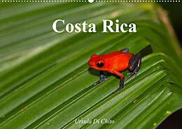 Kalender Costa Rica (Wandkalender 2022 DIN A2 quer) von Ursula Di Chito