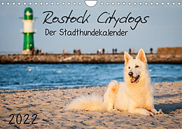 Kalender Rostock Citydogs - Der Stadthundekalender (Wandkalender 2022 DIN A4 quer) von Jill Langer