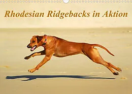 Kalender Rhodesian Ridgebacks in AktionAT-Version (Wandkalender 2022 DIN A3 quer) von Anke van Wyk - www.germanpix.net