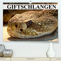 Kalender Giftschlangen (Premium, hochwertiger DIN A2 Wandkalender 2022, Kunstdruck in Hochglanz) von Elisabeth Stanzer
