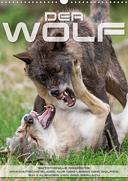 Kalender Emotionale Momente: Der Wolf. (Wandkalender 2022 DIN A3 hoch) von Ingo Gerlach