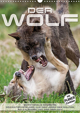 Kalender Emotionale Momente: Der Wolf. (Wandkalender 2022 DIN A3 hoch) von Ingo Gerlach