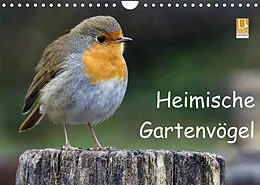 Kalender Heimische Gartenvögel (Wandkalender 2022 DIN A4 quer) von Dieter-M. Wilczek