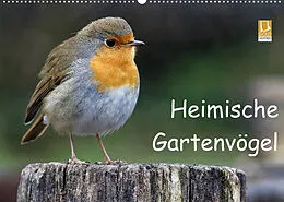 Kalender Heimische Gartenvögel (Wandkalender 2022 DIN A2 quer) von Dieter-M. Wilczek