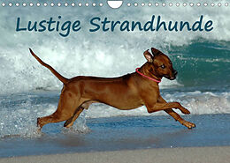Kalender Lustige Strandhunde (Wandkalender 2022 DIN A4 quer) von Anke van Wyk - www.germanpix.net