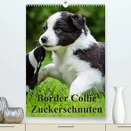 Kalender Border Collie Zuckerschnuten (Premium, hochwertiger DIN A2 Wandkalender 2022, Kunstdruck in Hochglanz) von Andrea Mayer