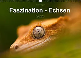 Kalender Faszination - Echsen (Wandkalender 2022 DIN A3 quer) von Axel Hilger