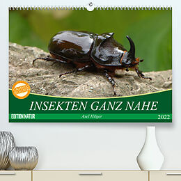 Kalender INSEKTEN GANZ NAHE (Premium, hochwertiger DIN A2 Wandkalender 2022, Kunstdruck in Hochglanz) von Axel Hilger