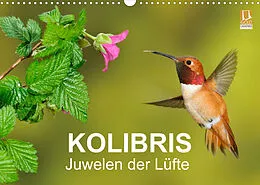 Kalender Kolibris - Juwelen der Lüfte (Wandkalender 2022 DIN A3 quer) von BIA - birdimagency