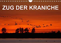 Kalender Zug der Kraniche (Wandkalender 2022 DIN A4 quer) von BIA - birdimagency