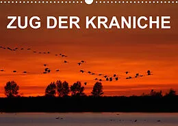 Kalender Zug der Kraniche (Wandkalender 2022 DIN A3 quer) von BIA - birdimagency