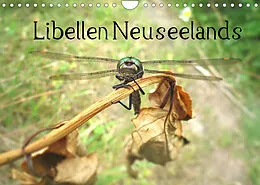Kalender Libellen Neuseelands (Wandkalender 2022 DIN A4 quer) von Stefanie Gendera