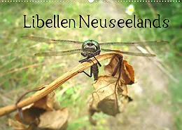 Kalender Libellen Neuseelands (Wandkalender 2022 DIN A2 quer) von Stefanie Gendera