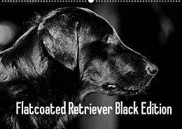 Kalender Flatcoated Retriever Black Edition (Wandkalender 2022 DIN A2 quer) von Beatrice Müller