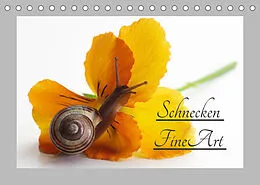 Kalender Schnecken FineArt (Tischkalender 2022 DIN A5 quer) von Tanja Riedel