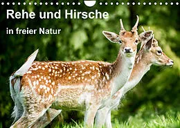Kalender Rehe und Hirsche in freier Natur (Wandkalender 2022 DIN A4 quer) von Photoga Photography, Gabriela Wernicke-Marfo