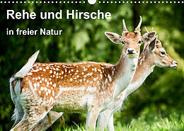 Kalender Rehe und Hirsche in freier Natur (Wandkalender 2022 DIN A3 quer) von Gabriela Wernicke-Marfo, Photoga Photography