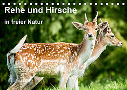 Kalender Rehe und Hirsche in freier Natur (Tischkalender 2022 DIN A5 quer) von Photoga Photography, Gabriela Wernicke-Marfo