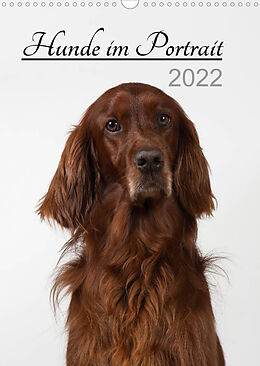 Kalender Hunde im Portrait (Wandkalender 2022 DIN A3 hoch) von Heidi Bollich