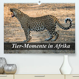 Kalender Tier-Momente in Afrika (Premium, hochwertiger DIN A2 Wandkalender 2022, Kunstdruck in Hochglanz) von Dirk Janssen