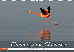 Kalender Flamingos am Chiemsee (Wandkalender 2022 DIN A2 quer) von J. R. Bogner