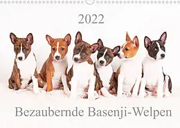 Kalender Bezaubernde Basenji-Welpen (Wandkalender 2022 DIN A3 quer) von Angelika Joswig