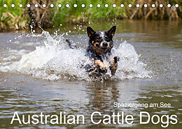 Kalender Spaziergang am See Australian Cattle Dogs (Tischkalender 2022 DIN A5 quer) von Fotodesign Verena Scholze
