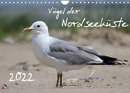 Kalender Vögel der Nordseeküste (Wandkalender 2022 DIN A4 quer) von Jan Allnoch