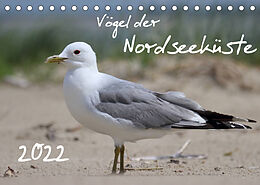 Kalender Vögel der Nordseeküste (Tischkalender 2022 DIN A5 quer) von Jan Allnoch