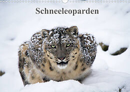 Kalender Schneeleoparden (Wandkalender 2022 DIN A3 quer) von Cloudtail