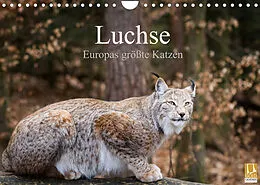 Kalender Luchse - Europas größte Katzen (Wandkalender 2022 DIN A4 quer) von Cloudtail