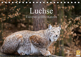 Kalender Luchse - Europas größte Katzen (Tischkalender 2022 DIN A5 quer) von Cloudtail
