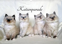Kalender Katzenparade (Wandkalender 2022 DIN A3 quer) von Jennifer Chrystal