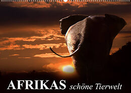 Kalender Afrikas schöne Tierwelt (Wandkalender 2022 DIN A2 quer) von Elisabeth Stanzer