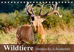 Kalender Wildtiere. Heimische Schönheiten (Tischkalender 2022 DIN A5 quer) von Elisabeth Stanzer