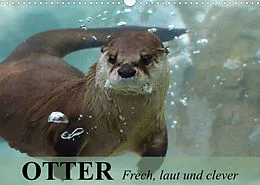 Kalender Otter. Frech, laut und clever (Wandkalender 2022 DIN A3 quer) von Elisabeth Stanzer