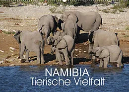 Kalender Namibia - Tierische Vielfalt (Wandkalender 2022 DIN A2 quer) von Thomas Morper