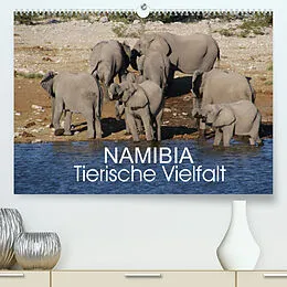 Kalender Namibia - Tierische Vielfalt (Premium, hochwertiger DIN A2 Wandkalender 2022, Kunstdruck in Hochglanz) von Thomas Morper