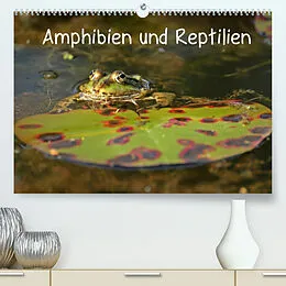 Kalender Amphibien und Reptilien (Premium, hochwertiger DIN A2 Wandkalender 2022, Kunstdruck in Hochglanz) von Christine Schmutzler-Schaub