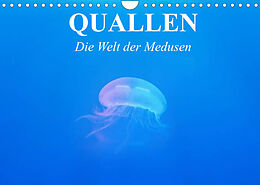 Kalender Quallen. Die Welt der Medusen (Wandkalender 2022 DIN A4 quer) von Elisabeth Stanzer