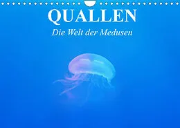 Kalender Quallen. Die Welt der Medusen (Wandkalender 2022 DIN A4 quer) von Elisabeth Stanzer