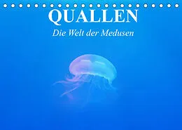 Kalender Quallen. Die Welt der Medusen (Tischkalender 2022 DIN A5 quer) von Elisabeth Stanzer